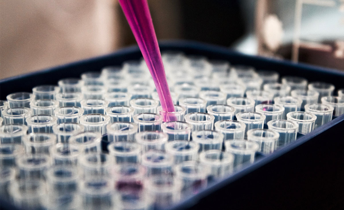 Farmacia, robótica, biomedicina.. estas son las mejores spinoffs tecnológicas españolas