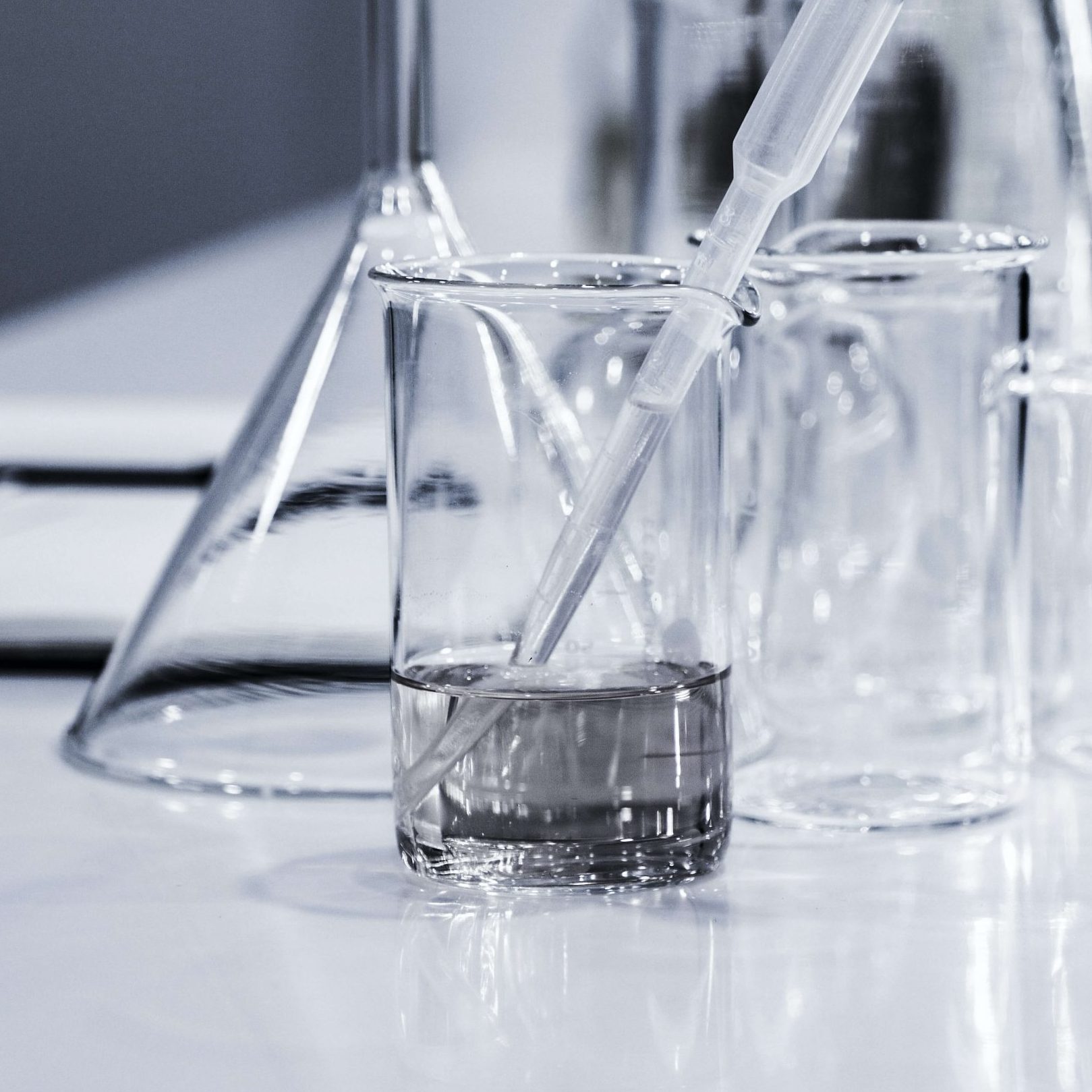 El futuro de la economía y de nuestra salud pasa por la investigación y el fomento del talento según María José Alonso