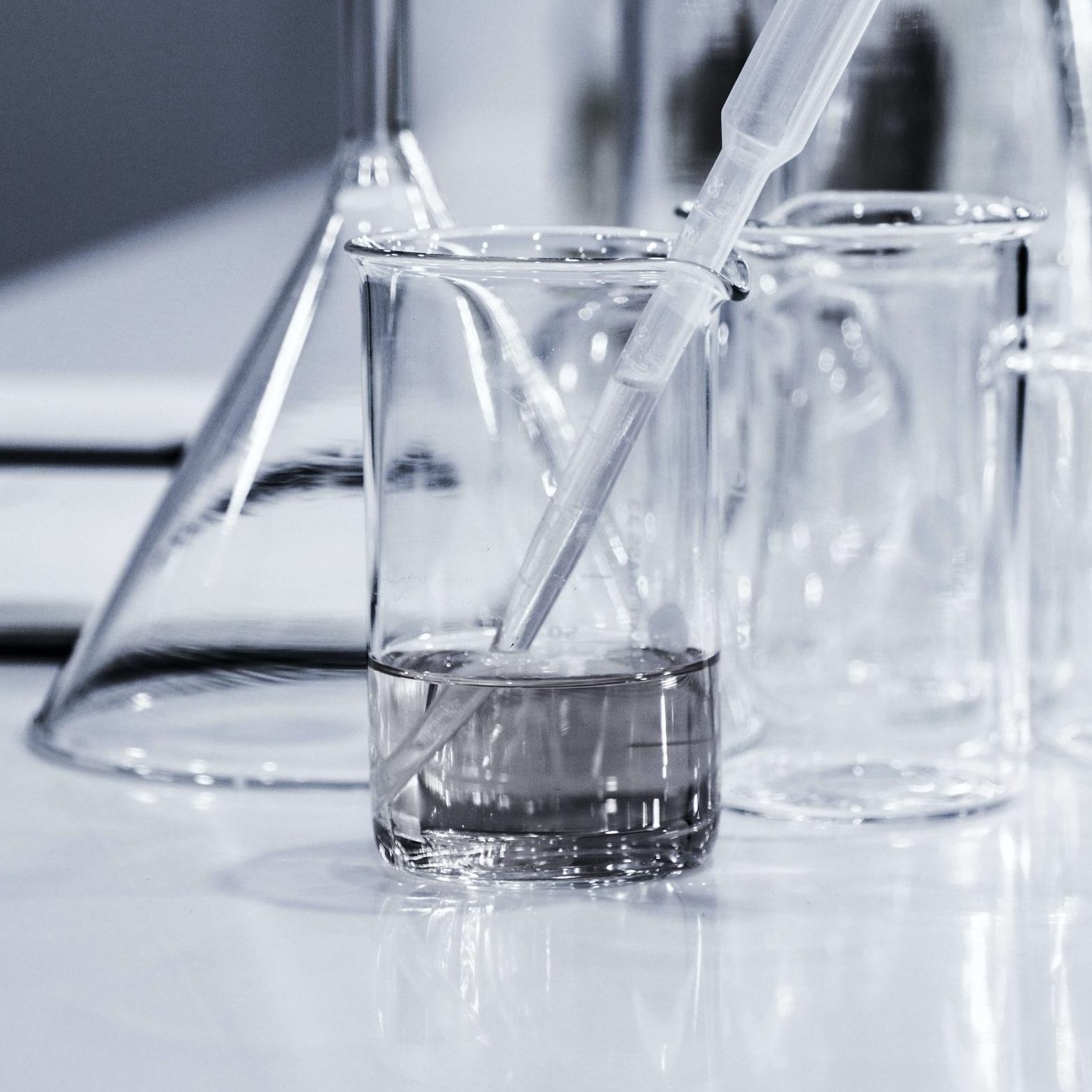 The future of the economy and our health lies in research and the promotion of talent according to María José Alonso