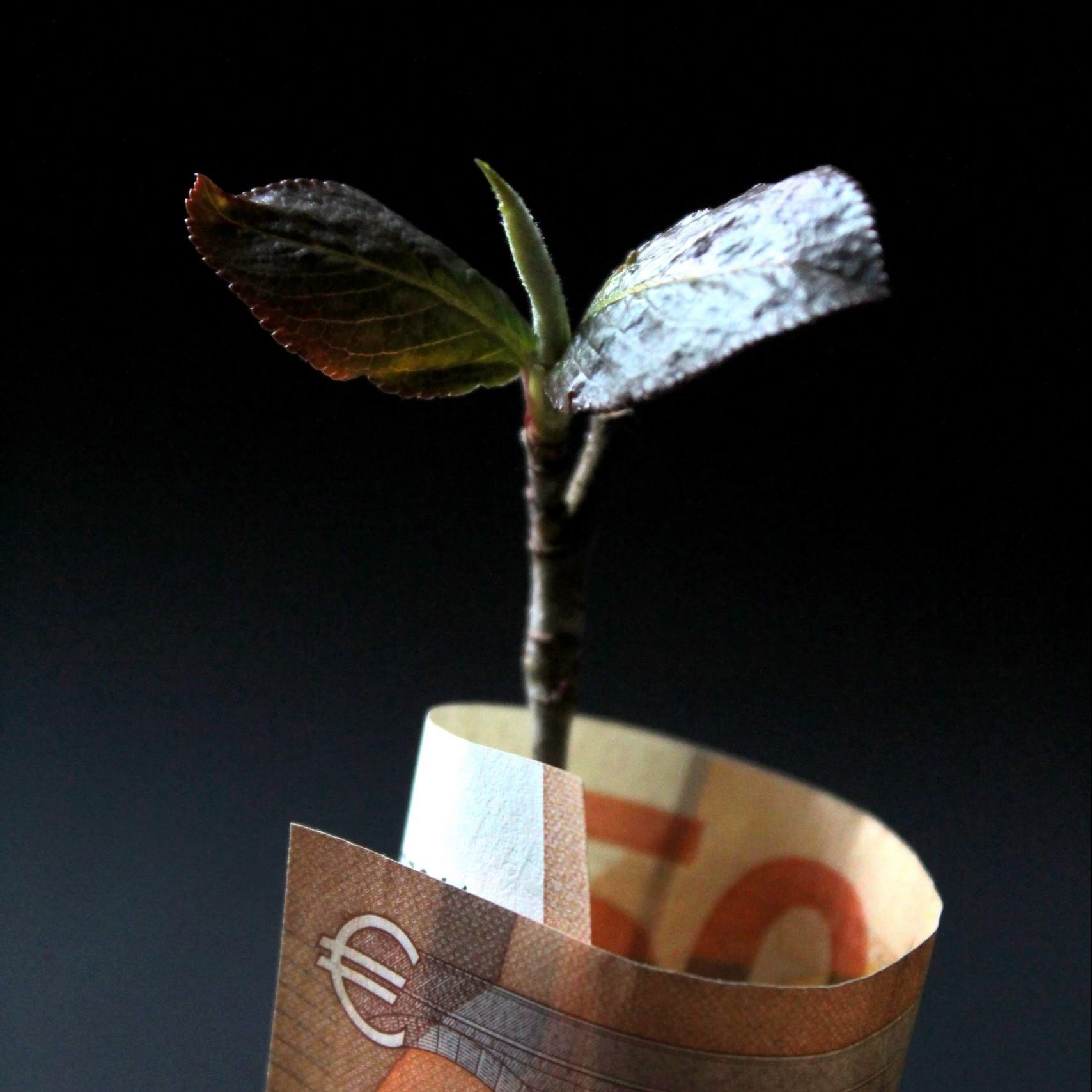 El papel de los reguladores en el futuro del dinero