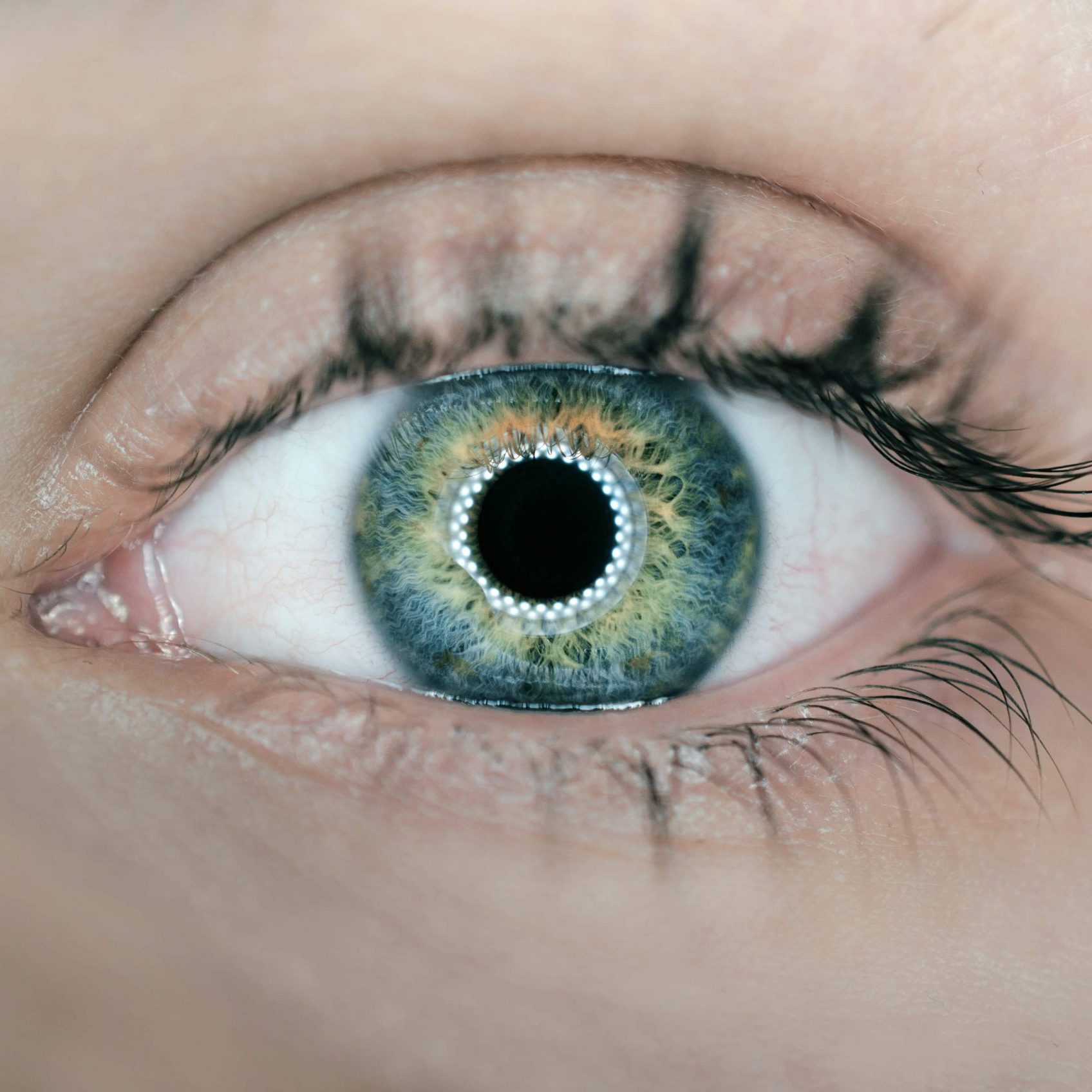 Auditoría de algoritmos para mejorar el impacto de la inteligencia artificial