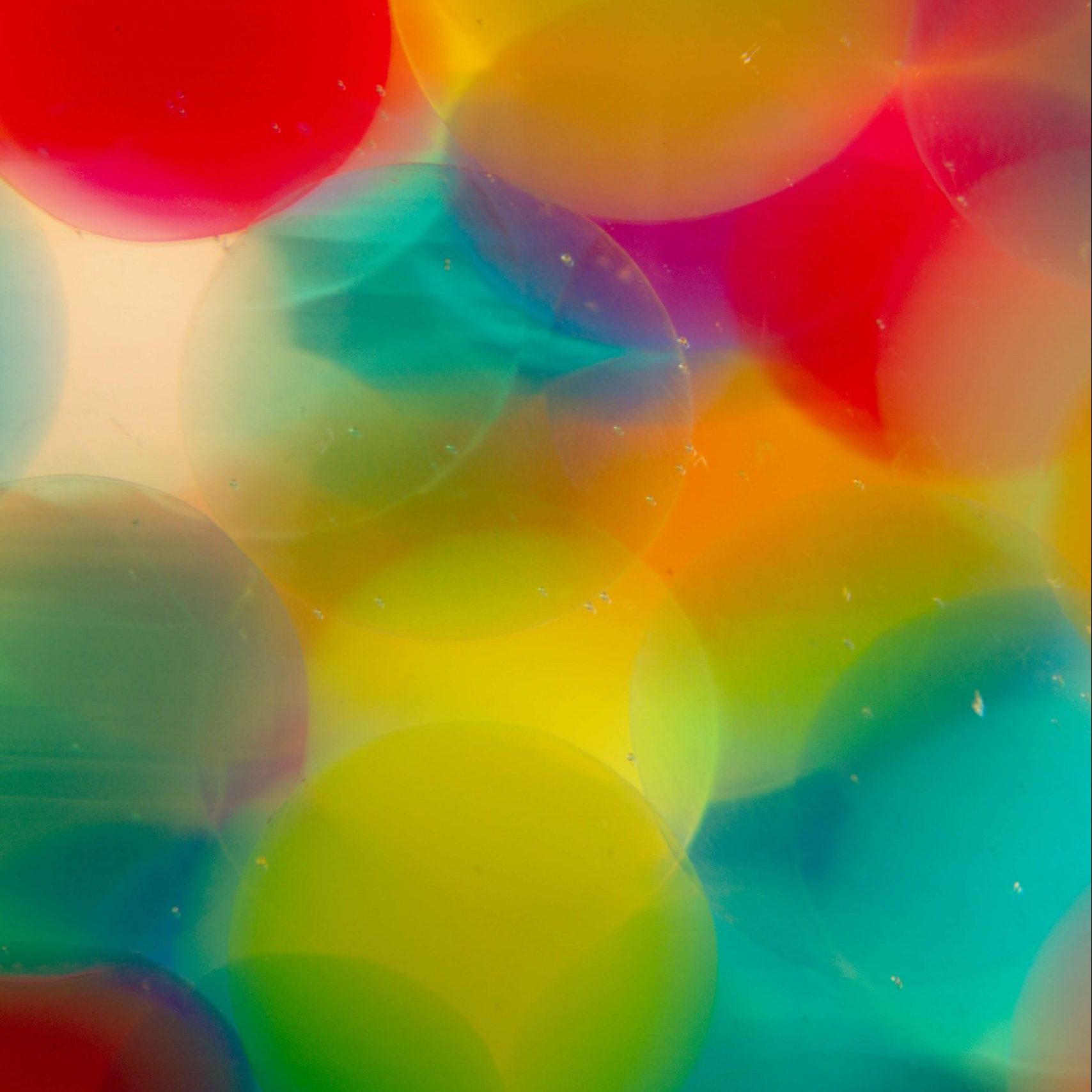 ¿Será el microbioma humano la clave de un envejecimiento saludable? 