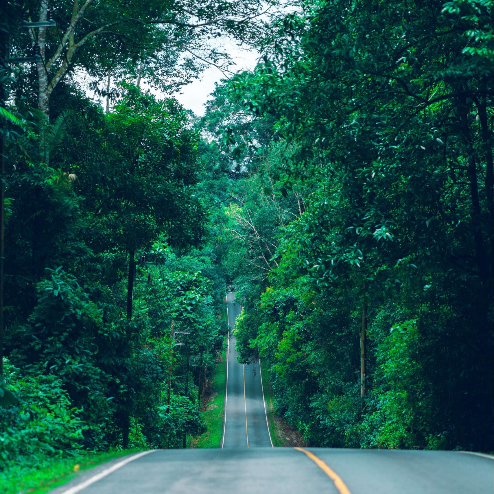 Building a Net Zero World