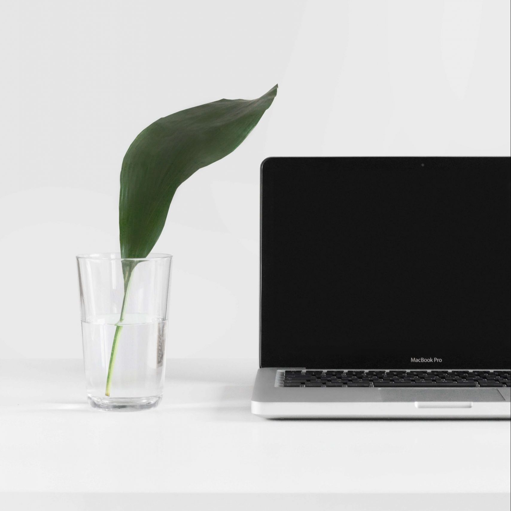 Agritech, la tecnología punta llega a la agricultura