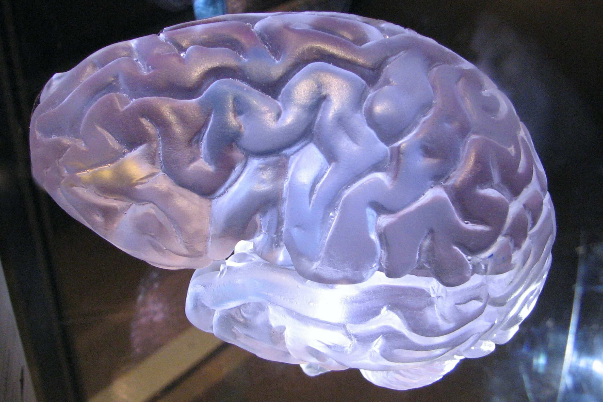 Innovación en neurotecnología para mejorar vidas