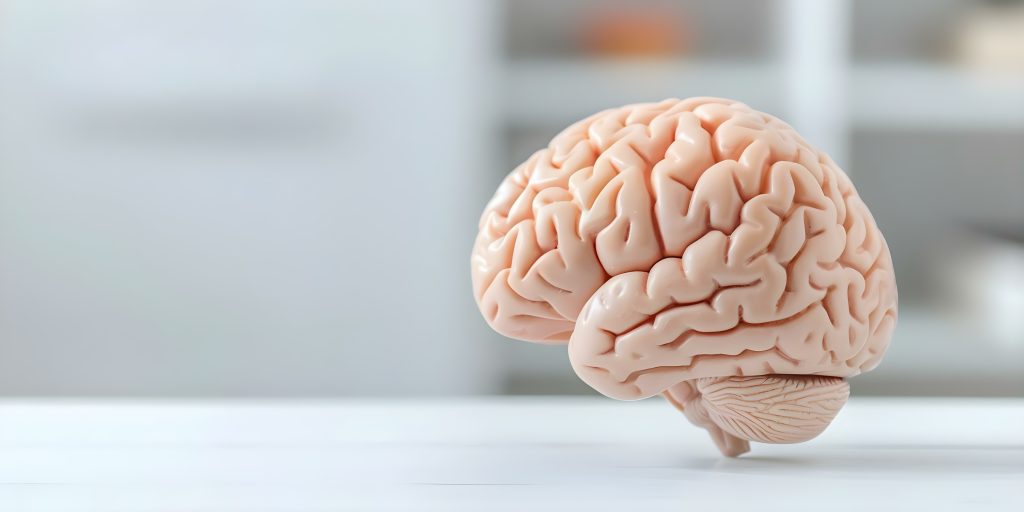 Neurociencia