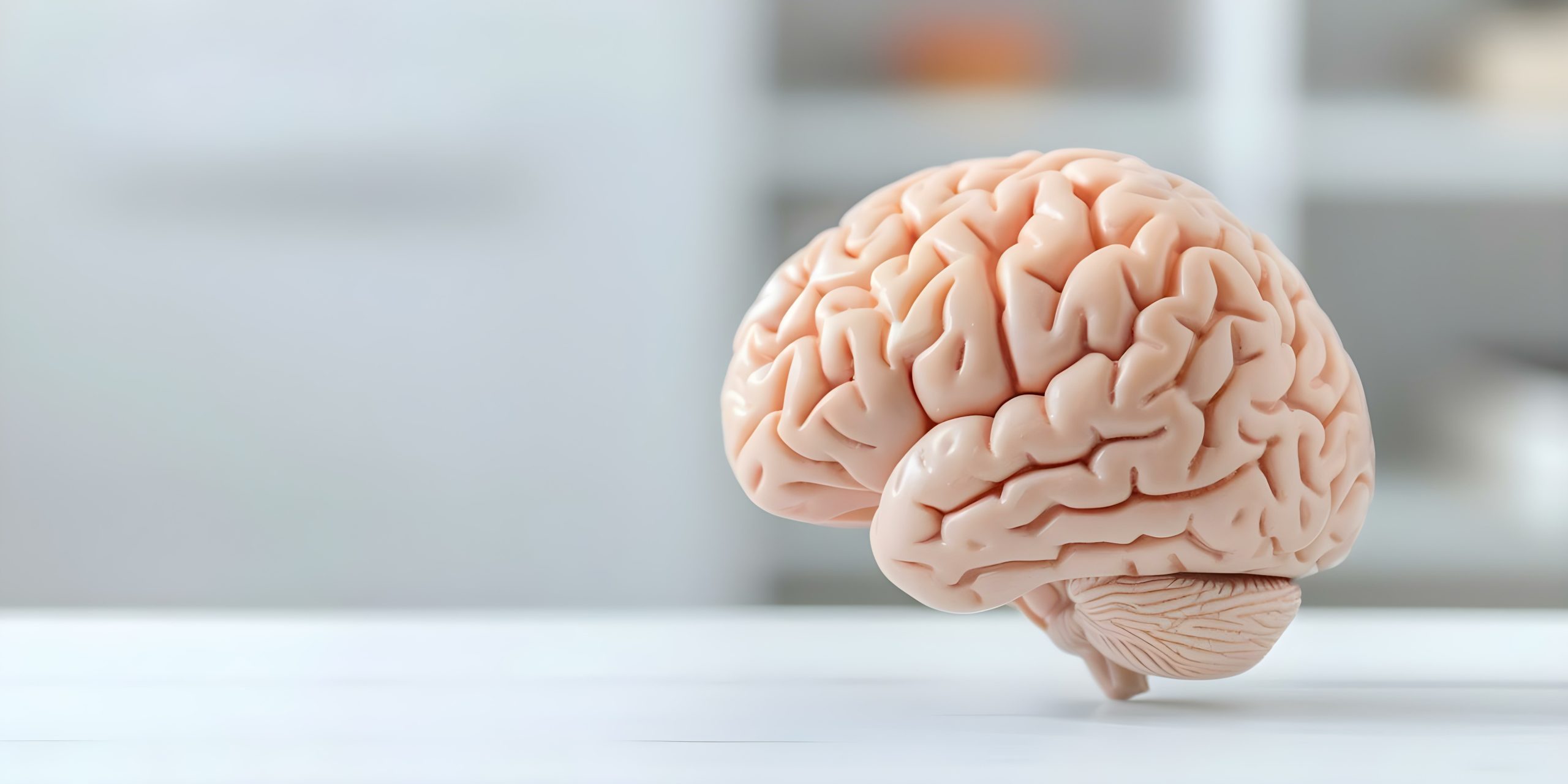 Asegurar los neuroderechos para avanzar en neurotecnología 