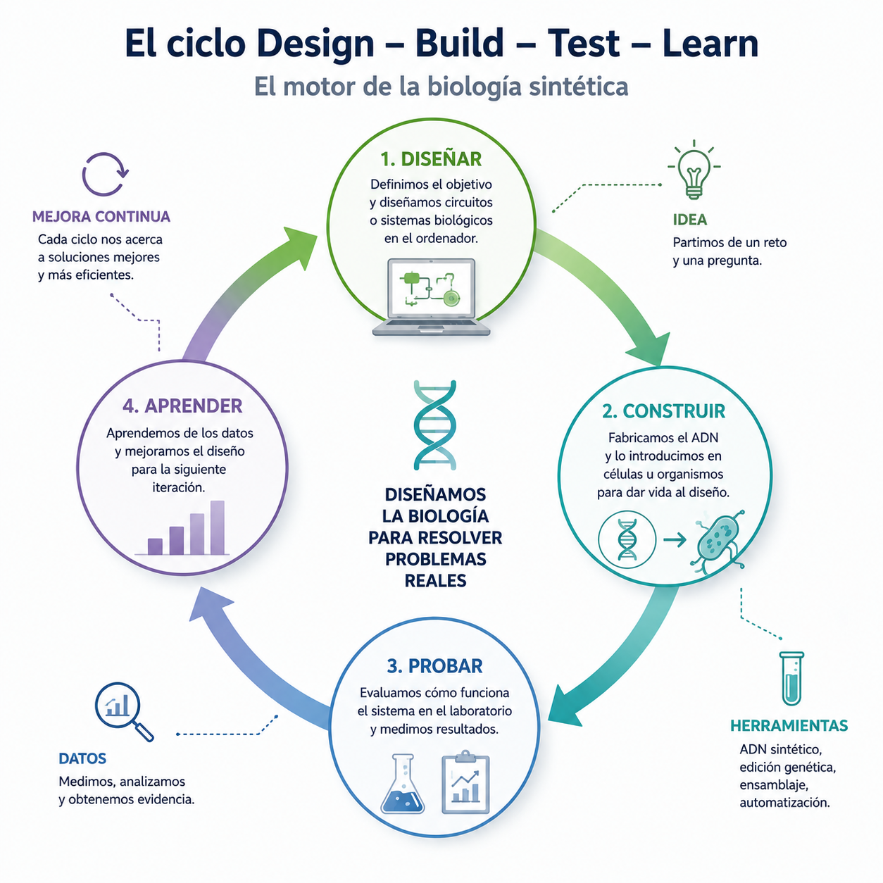 el ciclo design - build - test - learn