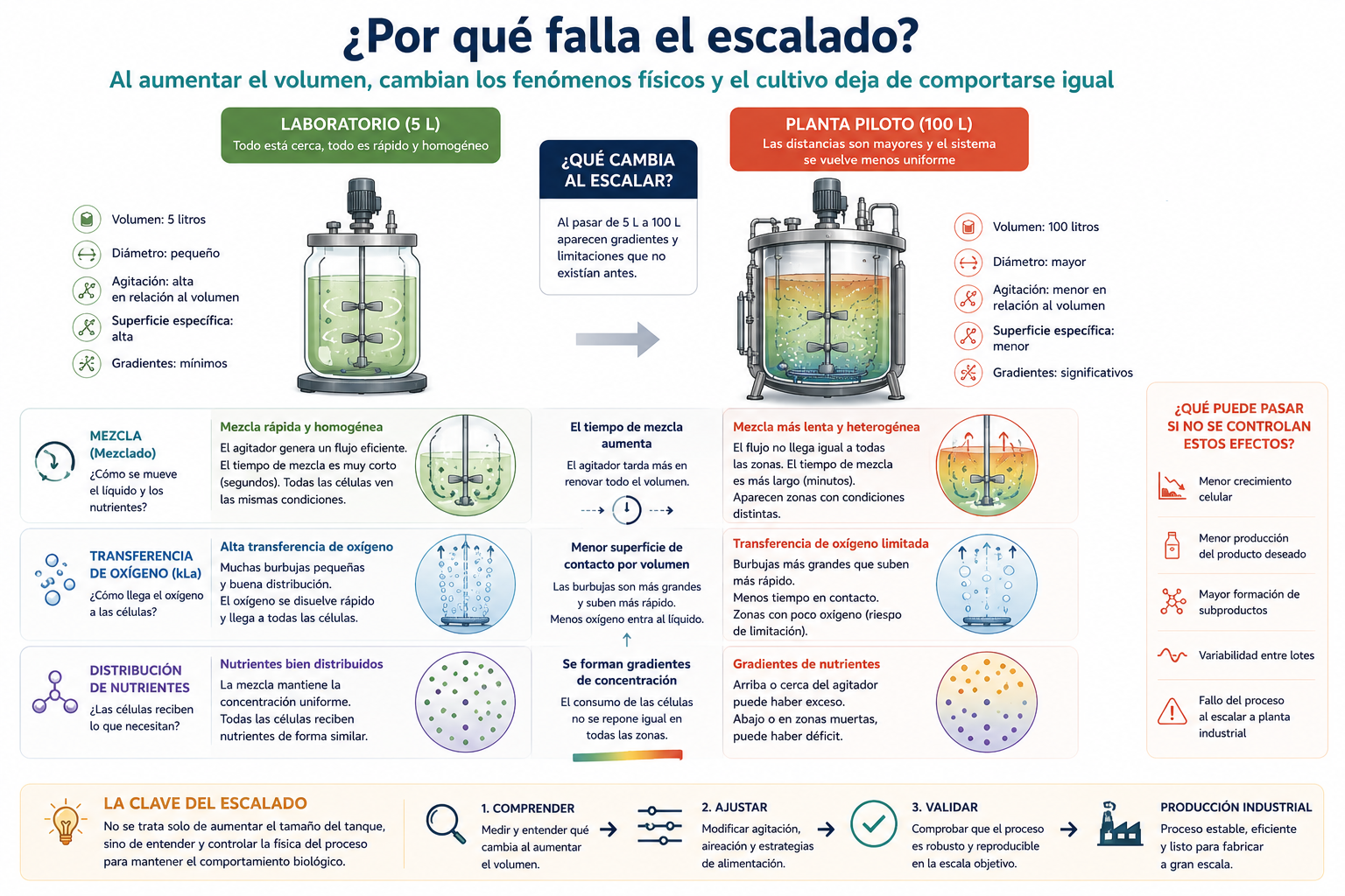 ué falla el escalado en biorreactores